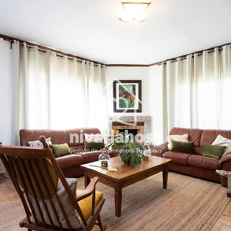 Tegas: Tacoronte, By Nivariahost * Tacoronte