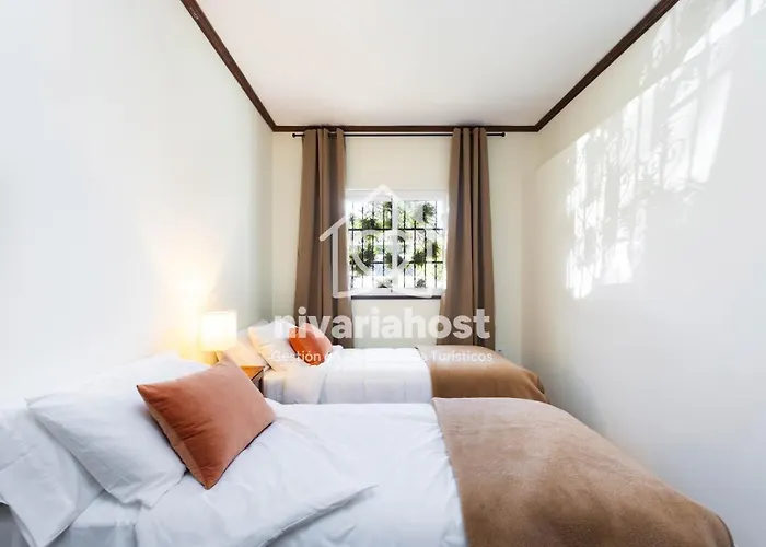 Tegas: Tacoronte, By Nivariahost Tacoronte