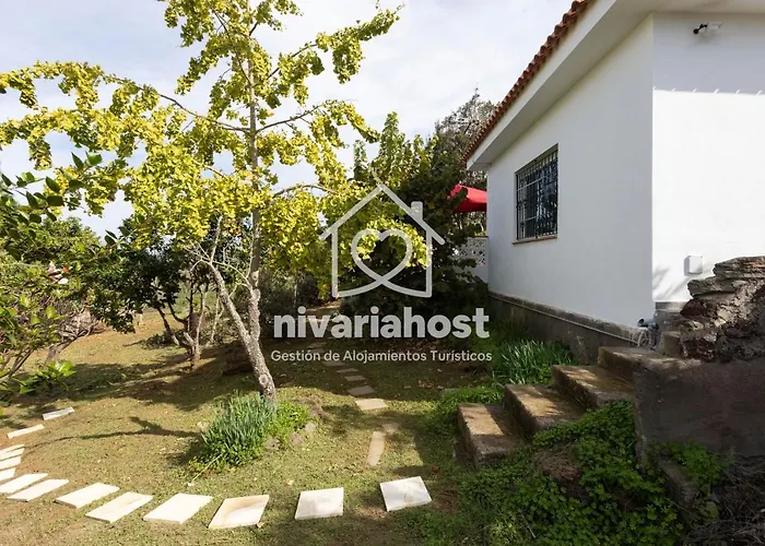 Tegas: Tacoronte, By Nivariahost