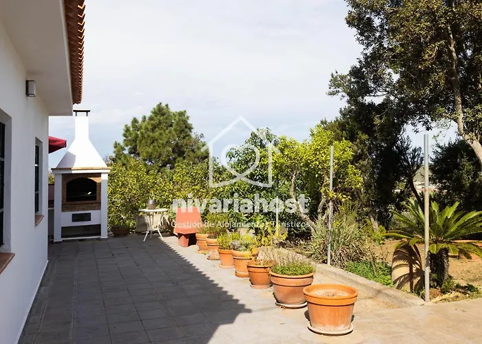 Tegas: Tacoronte, By Nivariahost Tacoronte