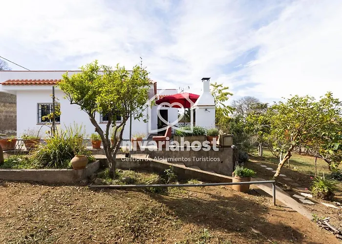 Tegas: Tacoronte, By Nivariahost Tacoronte