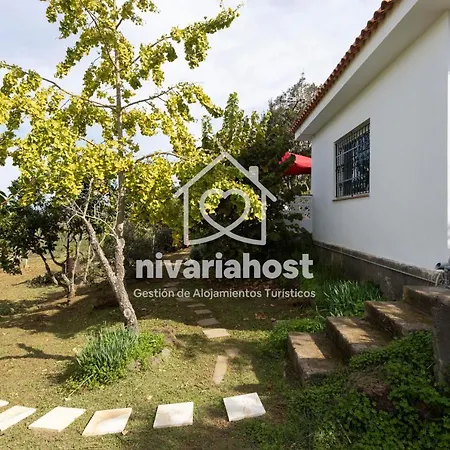 Tegas: Tacoronte, By Nivariahost