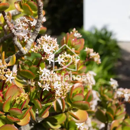 Tegas: Tacoronte, By Nivariahost Dom wakacyjny Tacoronte