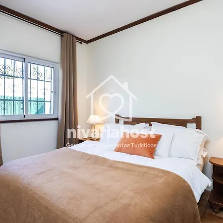 Tegas: Tacoronte, By Nivariahost Tacoronte