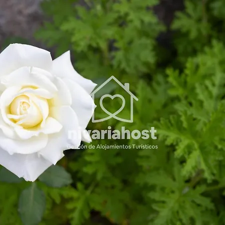 Tegas: Tacoronte, By Nivariahost Semesterbostad