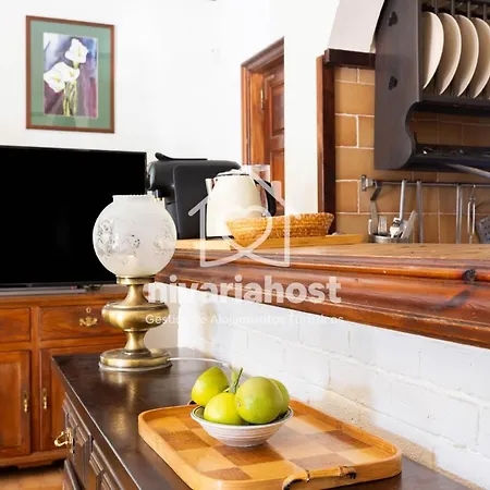 Tegas: Tacoronte, By Nivariahost Tacoronte