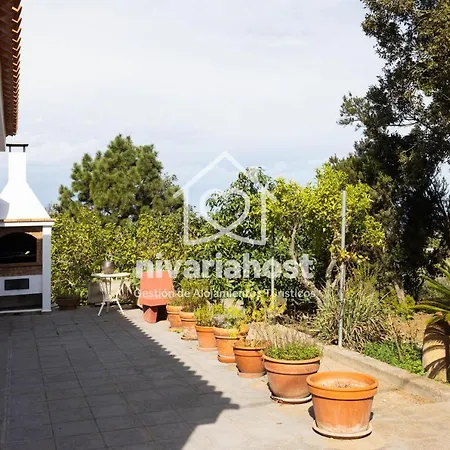 Tegas: Tacoronte, By Nivariahost Tacoronte