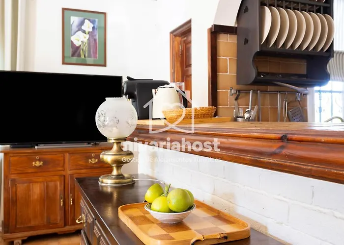 Tegas: Tacoronte, By Nivariahost Tacoronte