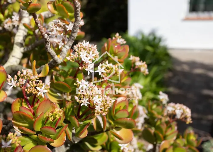 Tegas: Tacoronte, By Nivariahost Semesterbostad Tacoronte