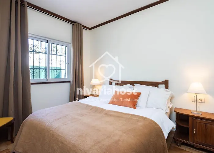 Tegas: Tacoronte, By Nivariahost Tacoronte