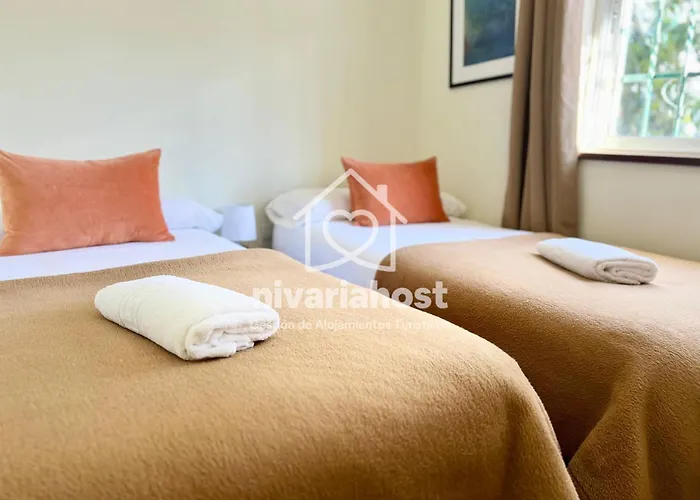 Tegas: Tacoronte, By Nivariahost Tacoronte